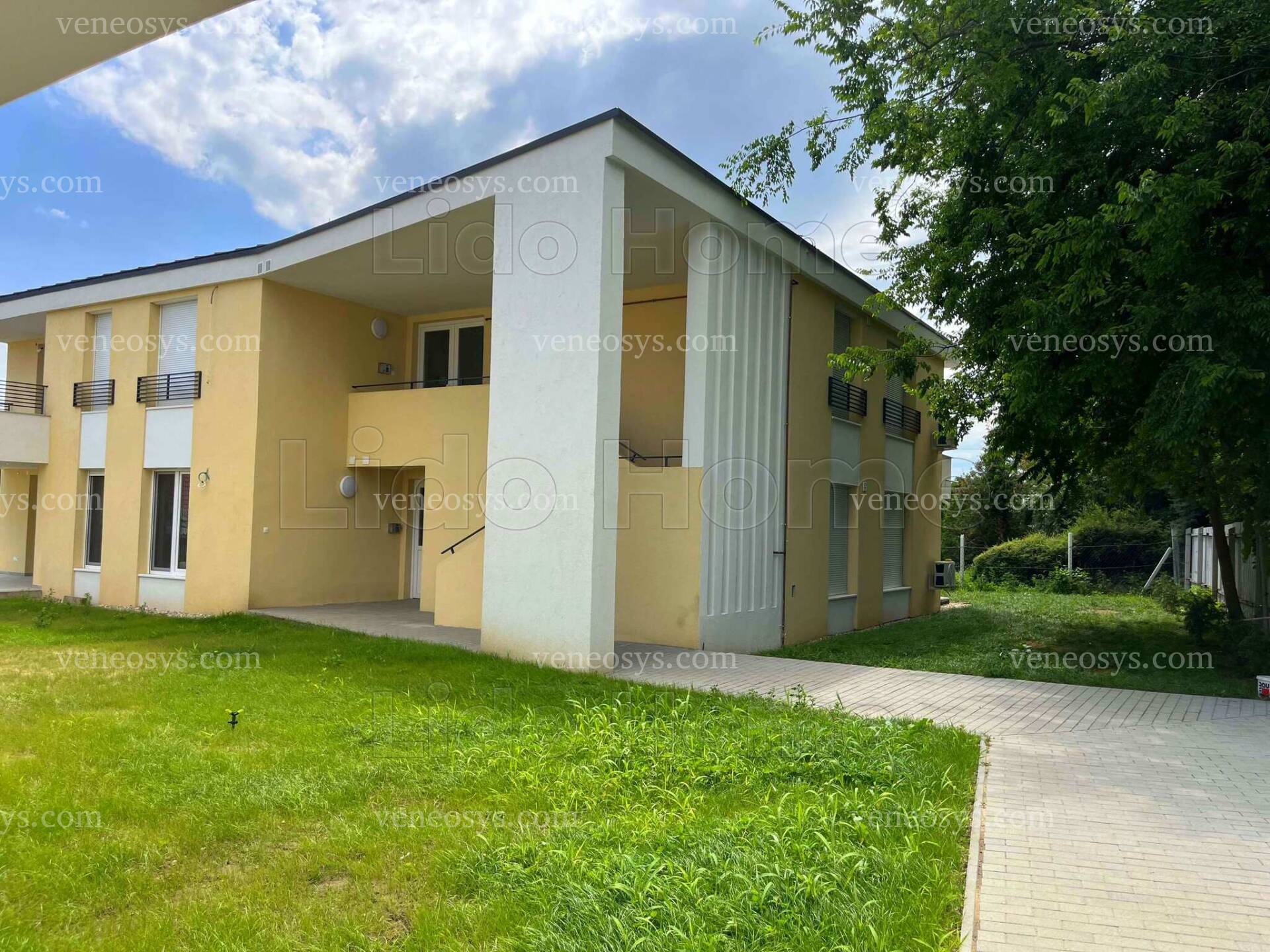 Kép 11