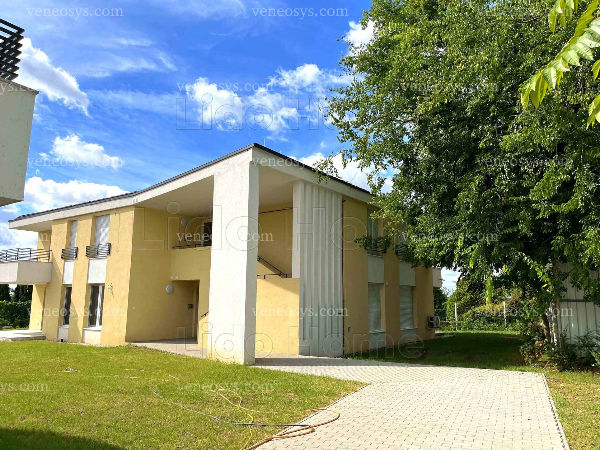 Kép 7