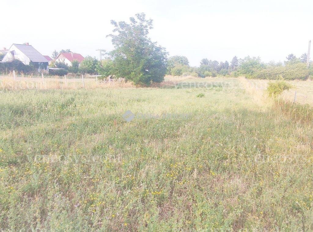 Kép 5