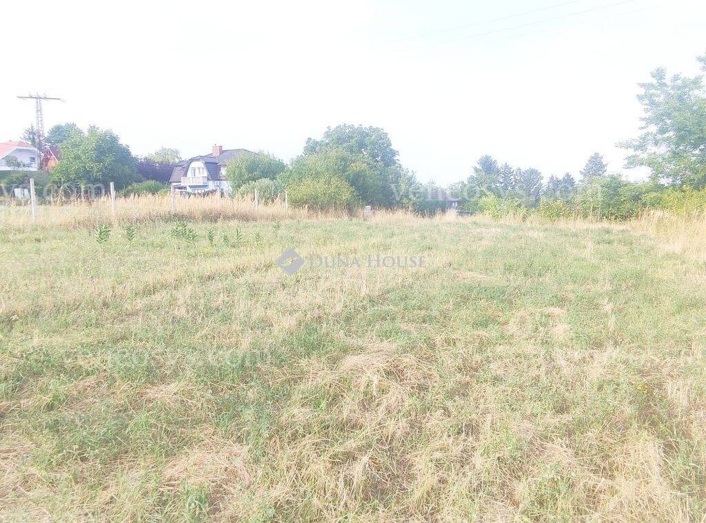 Kép 8
