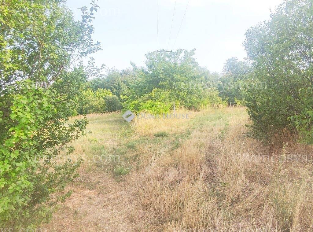 Kép 9