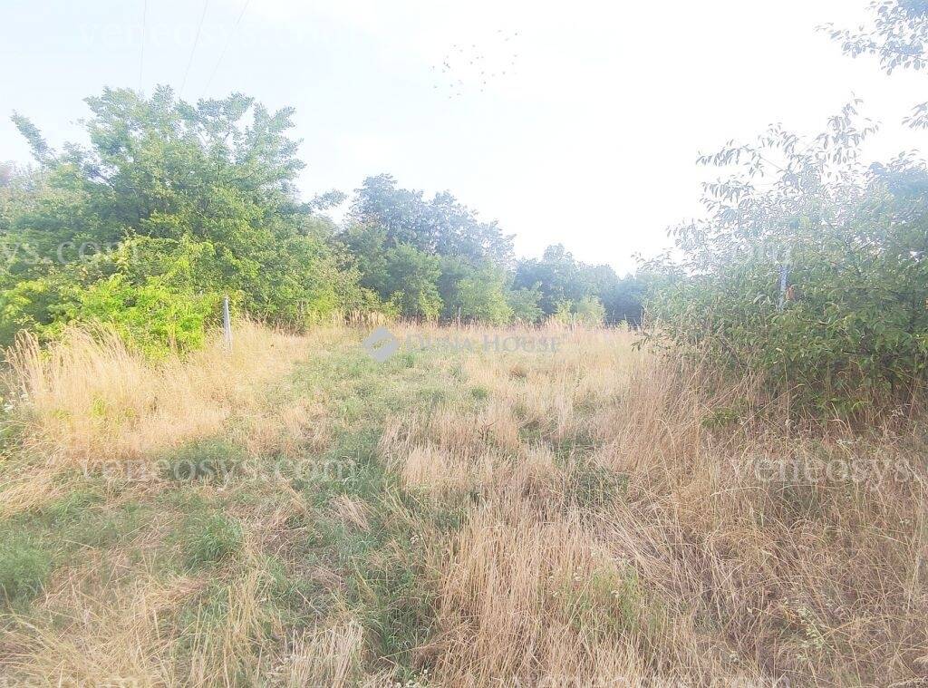 Kép 7