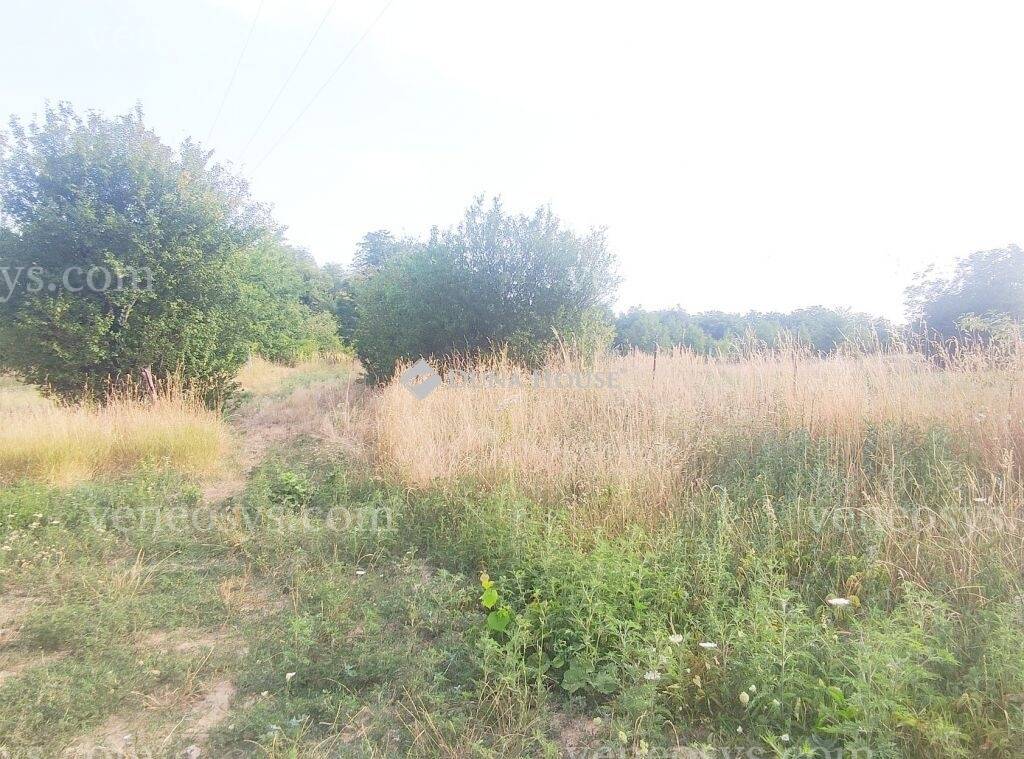Kép 4