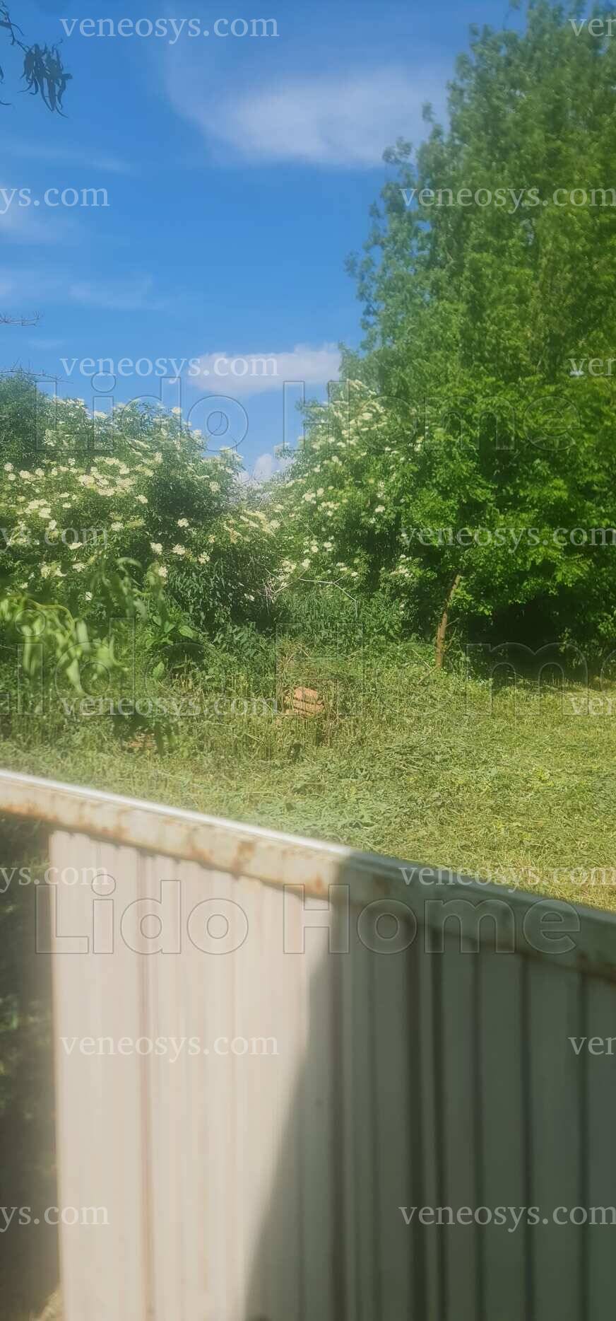 Kép 3