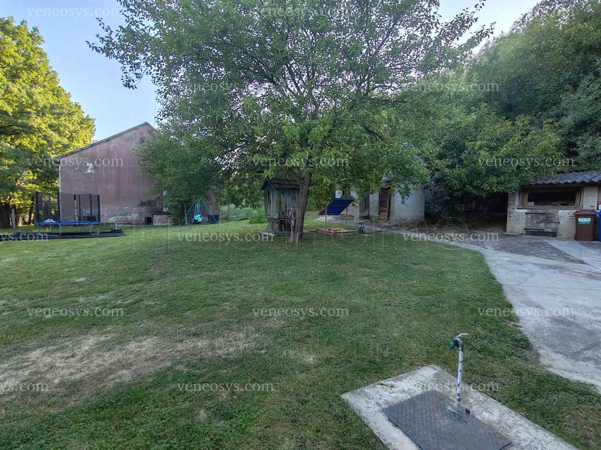 Kép 15