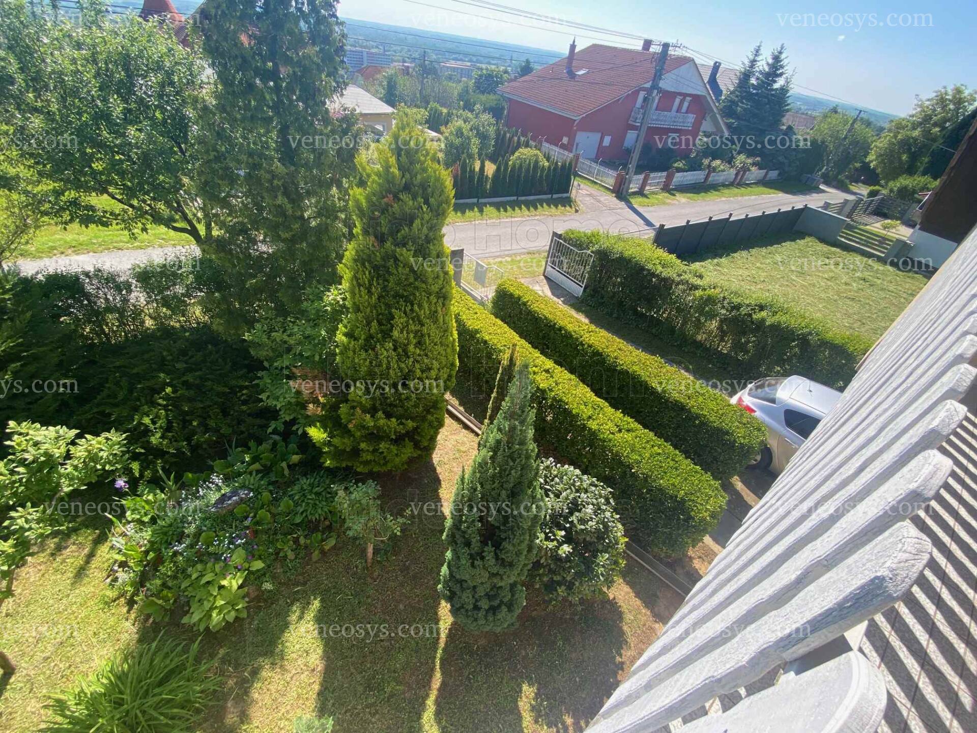 Kép 19