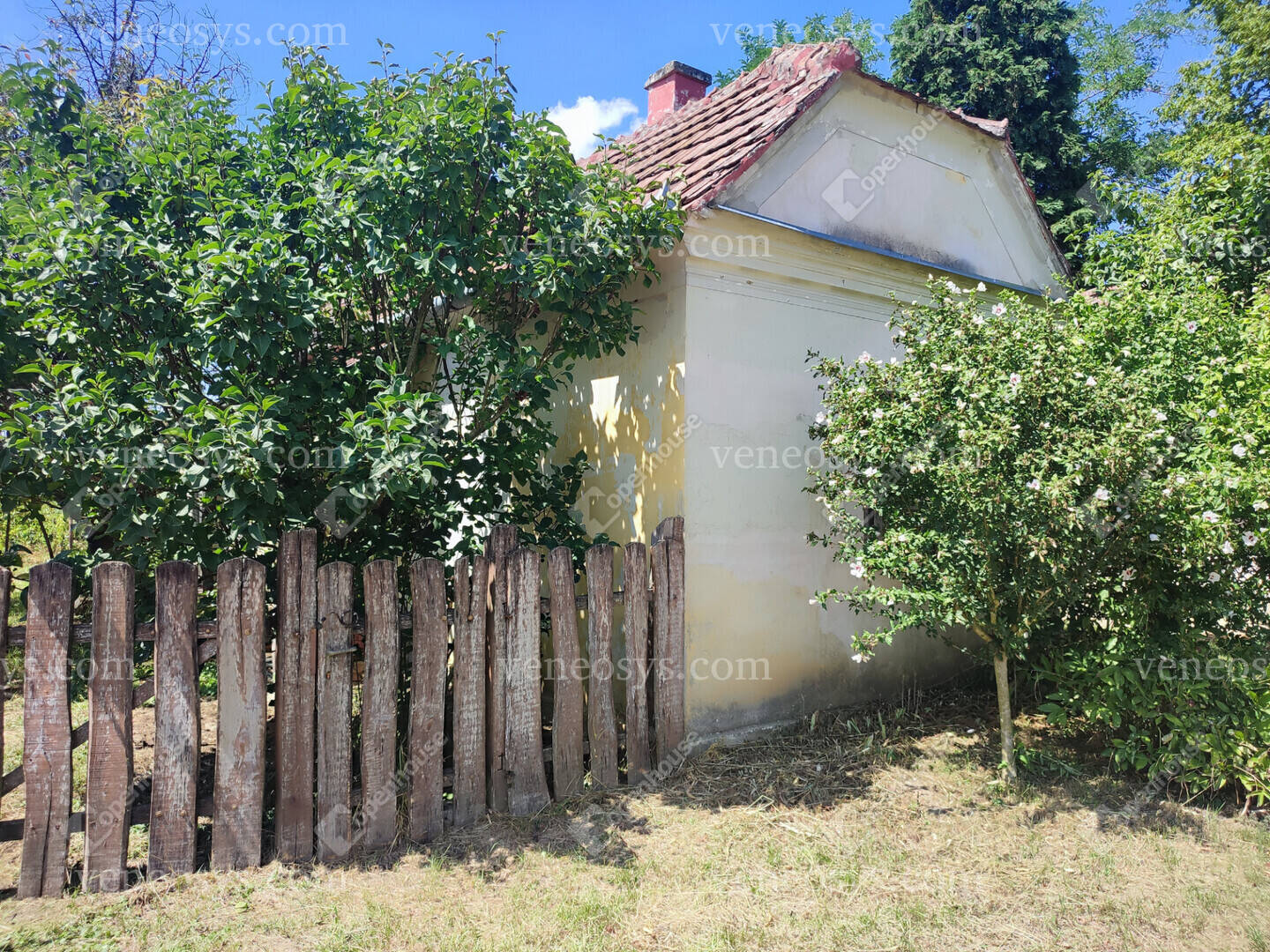 Kép 2