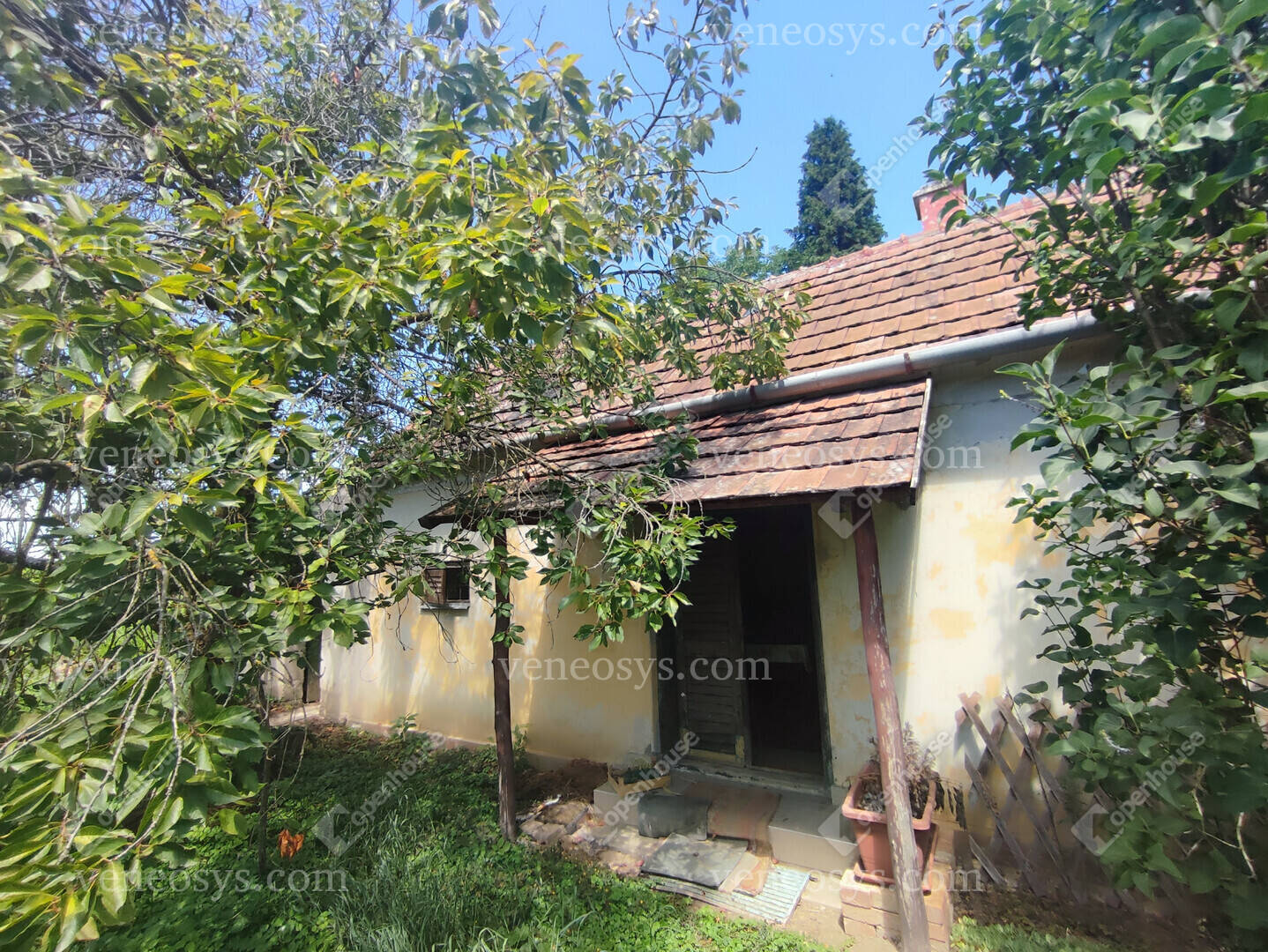 Kép 10