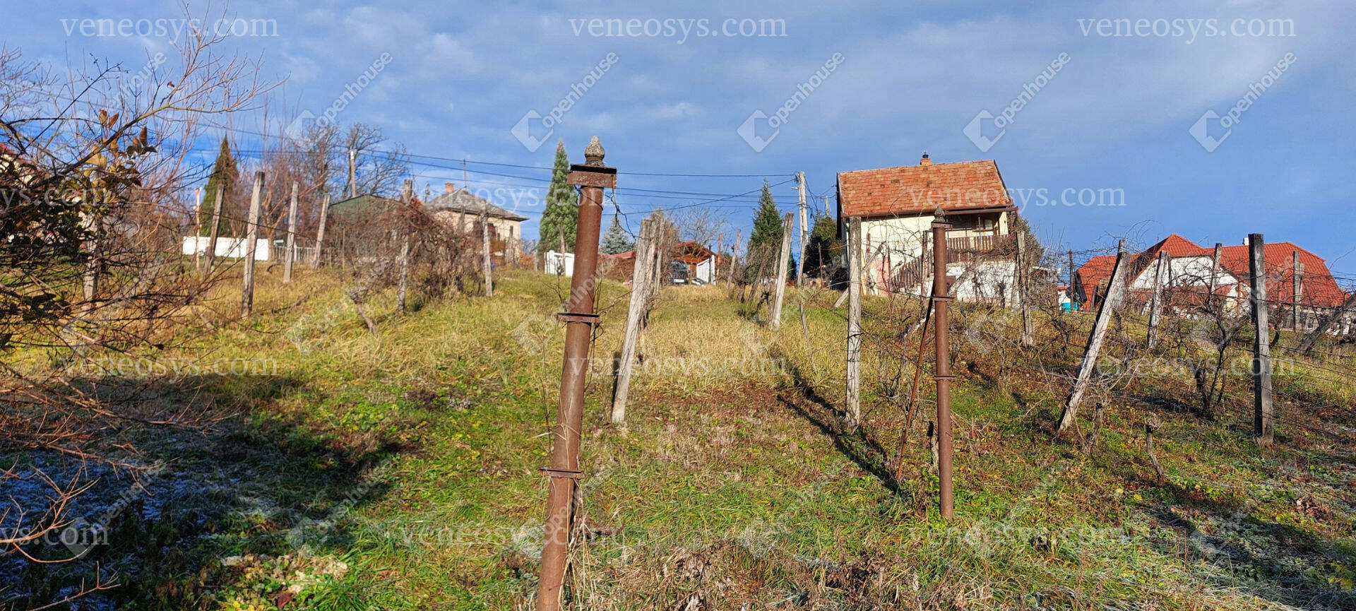 Kép 10