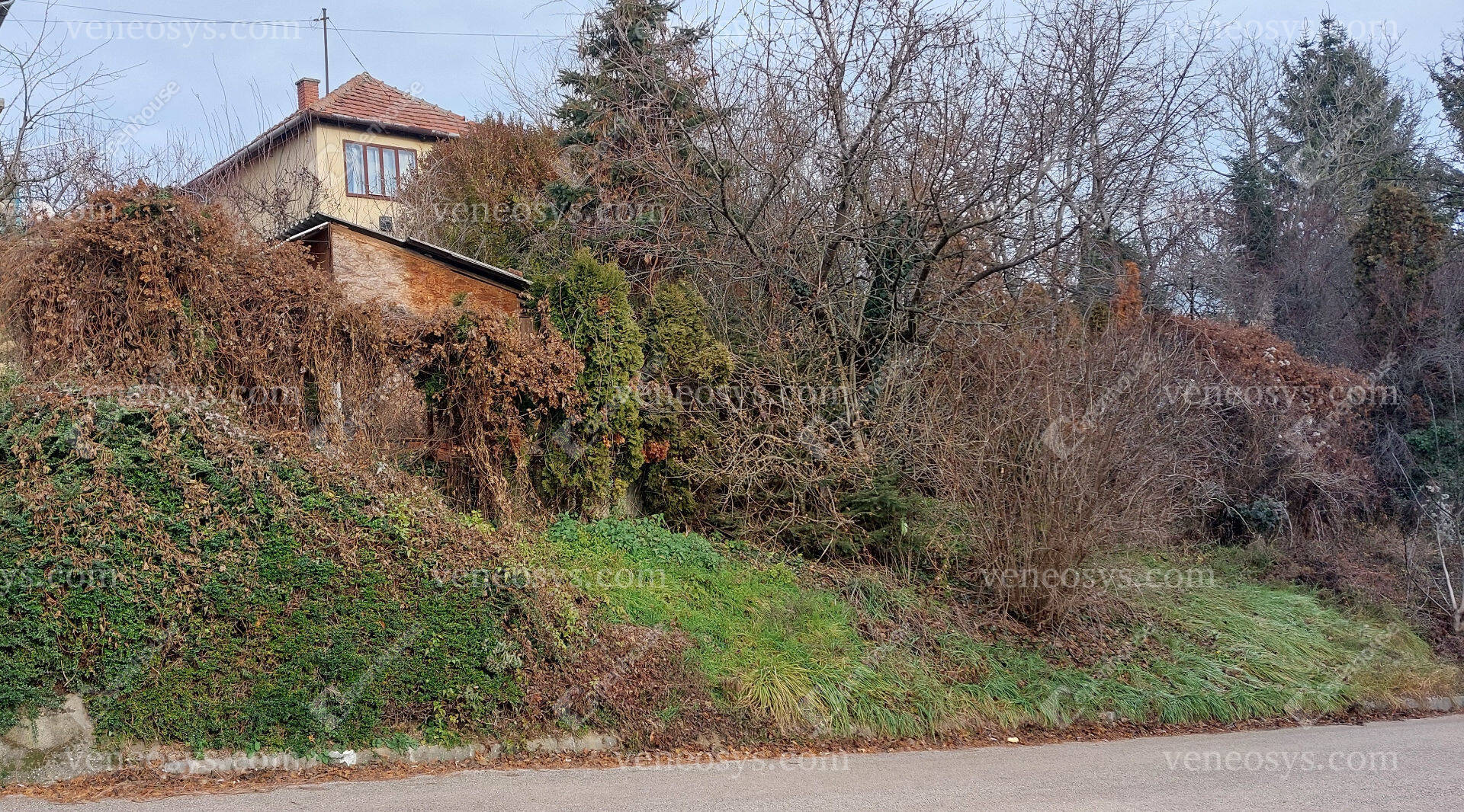 Ingatlan