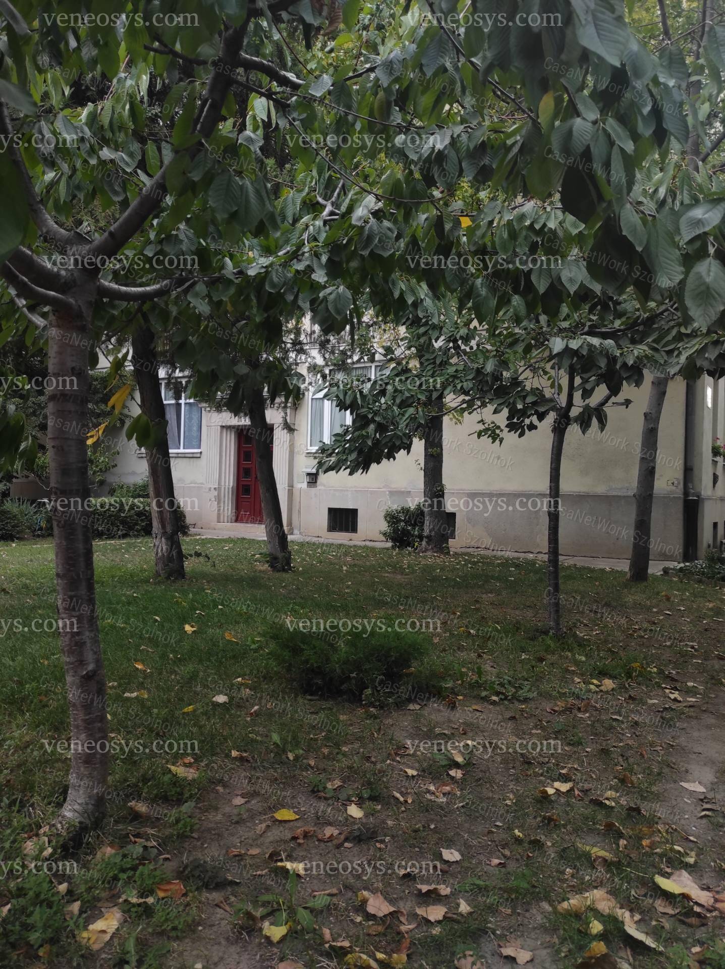 Kép 15