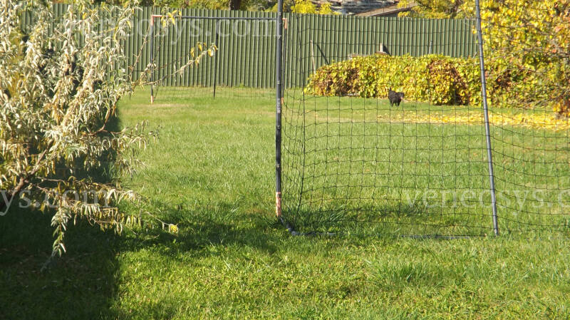 Kép 5