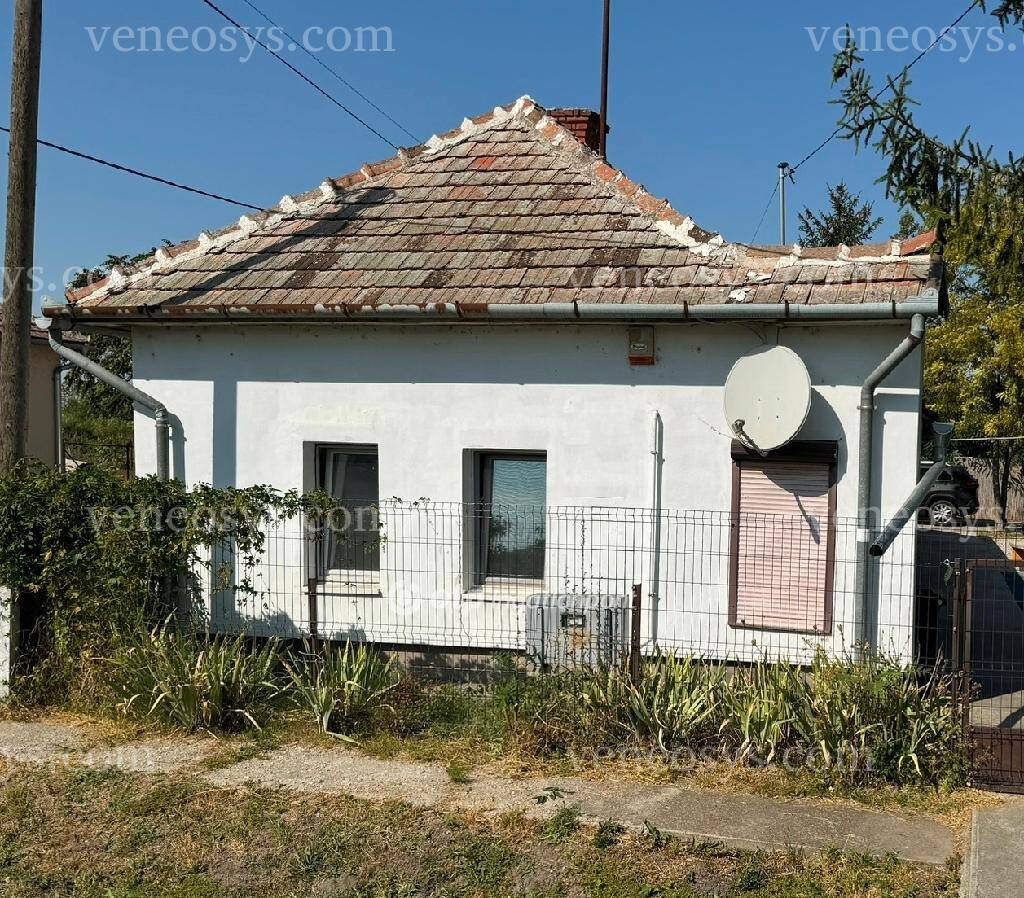 Kép 4