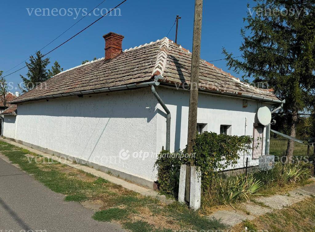 Kép 5
