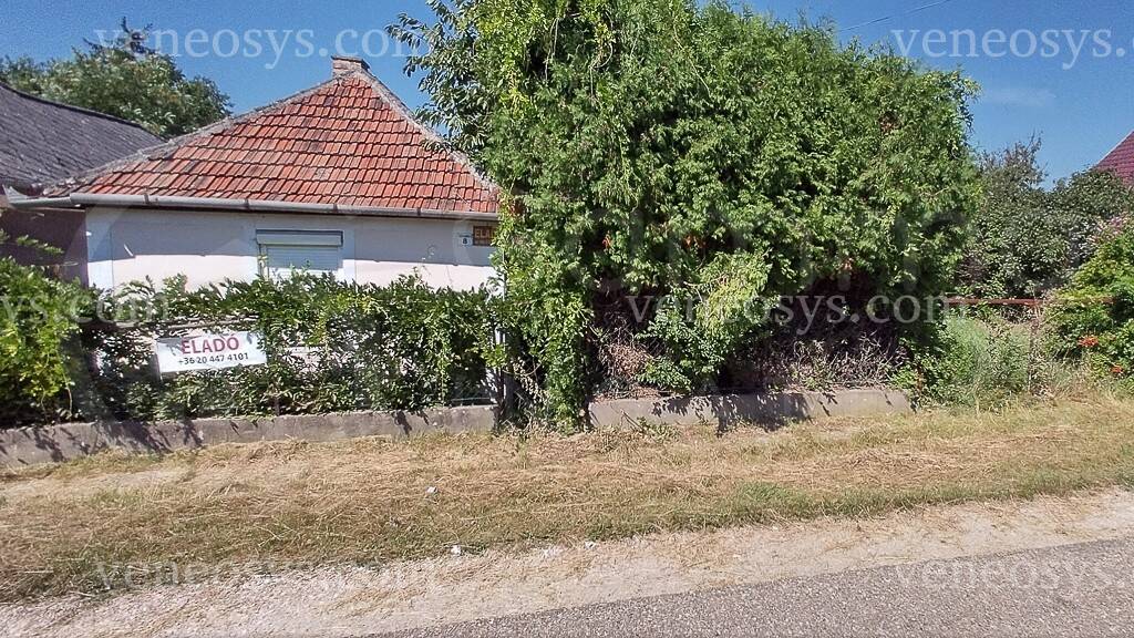 Kép 5