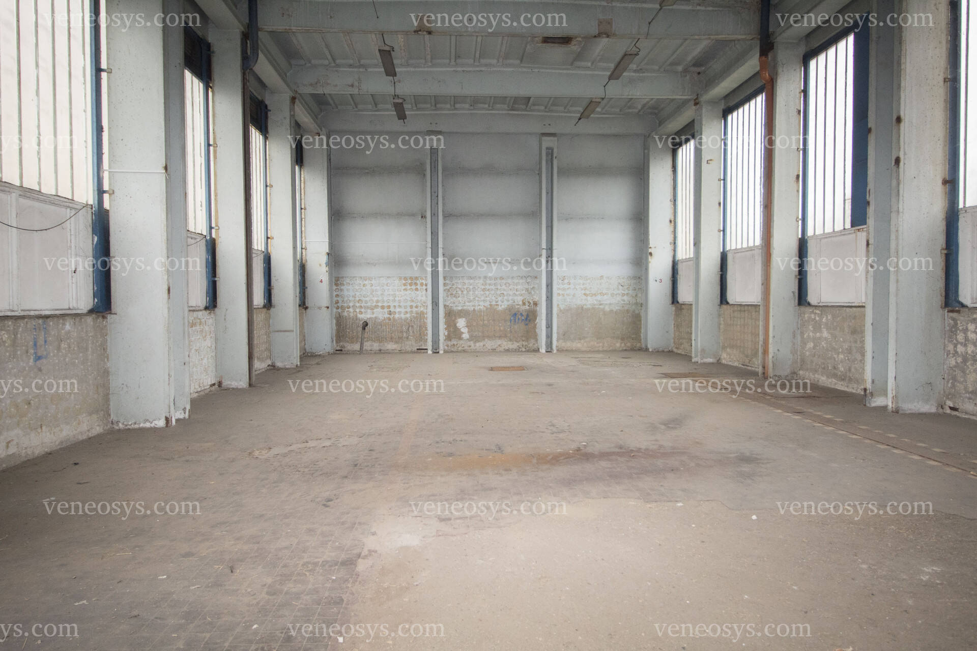 Kép 3