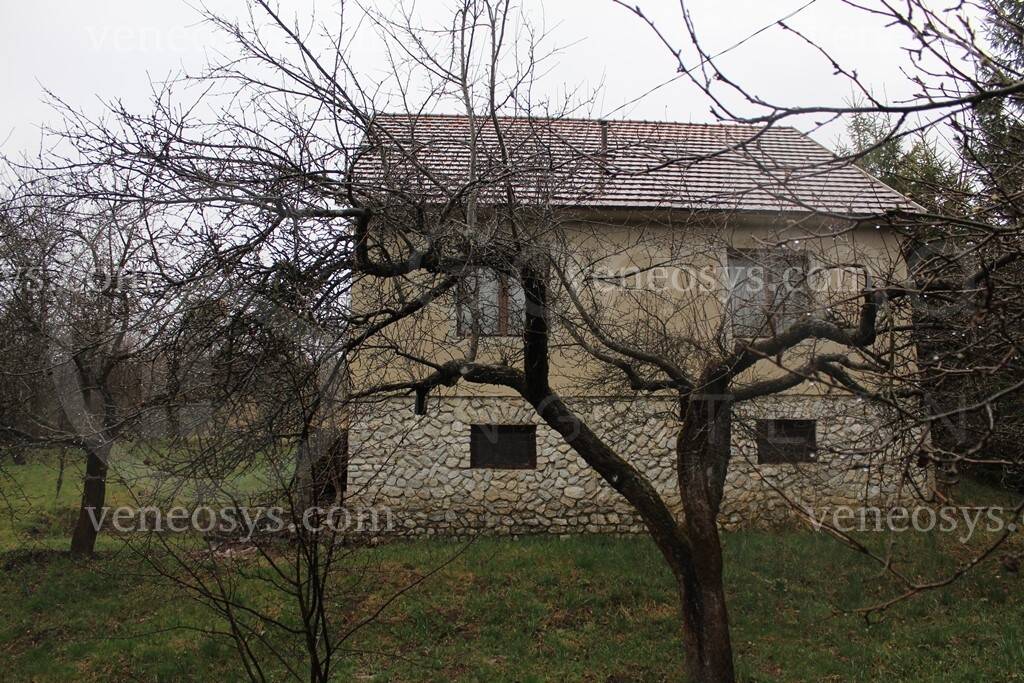 Kép 14