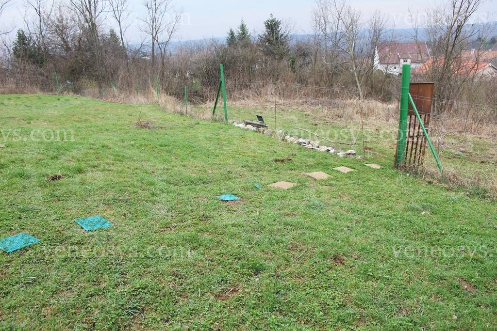 Kép 4
