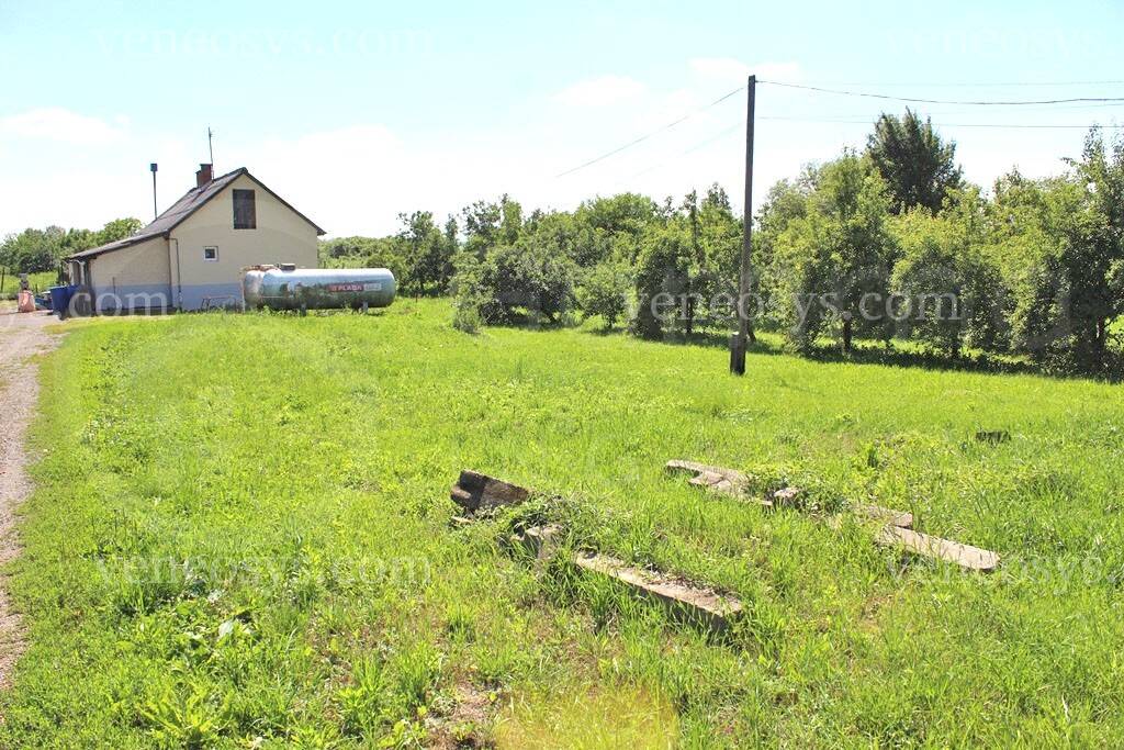 Kép 20