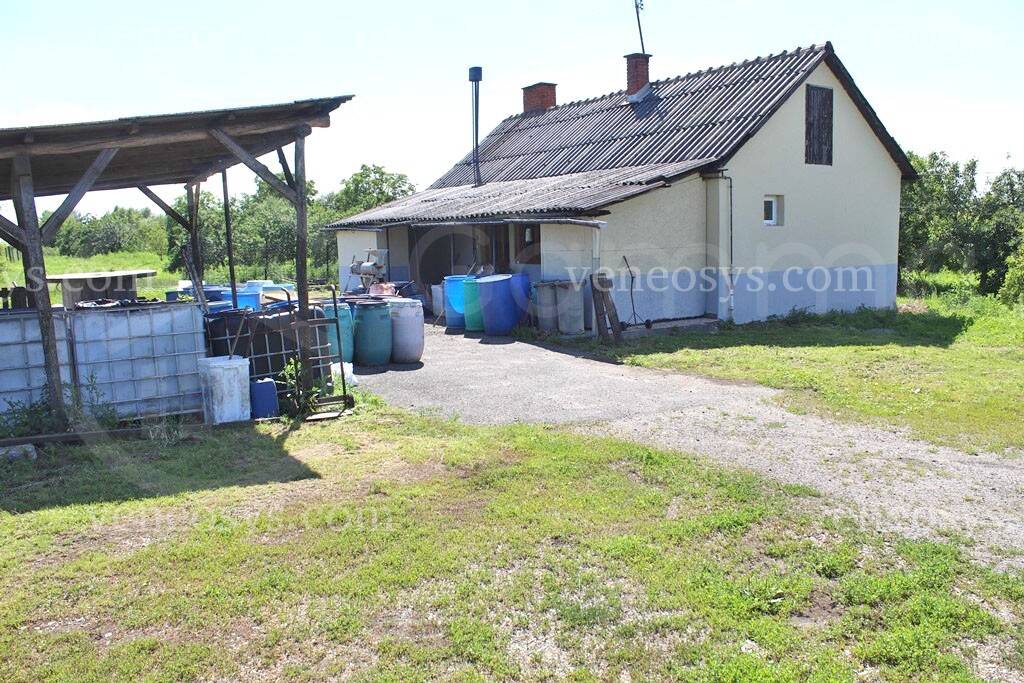 Kép 19