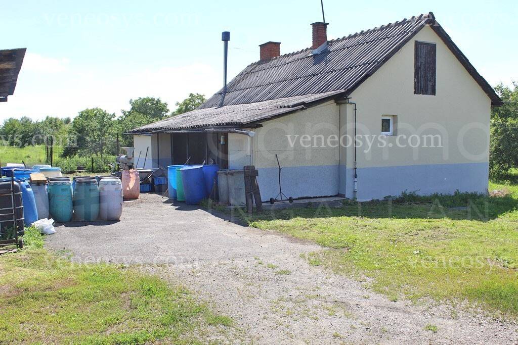 Kép 18