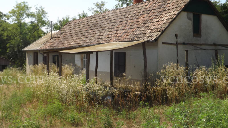 Kép 5