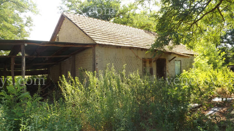 Kép 3