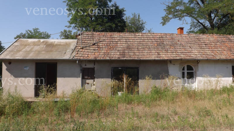 Kép 16