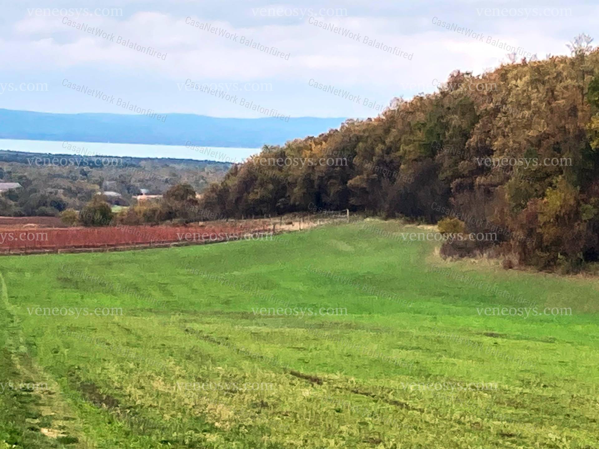 Kép 3
