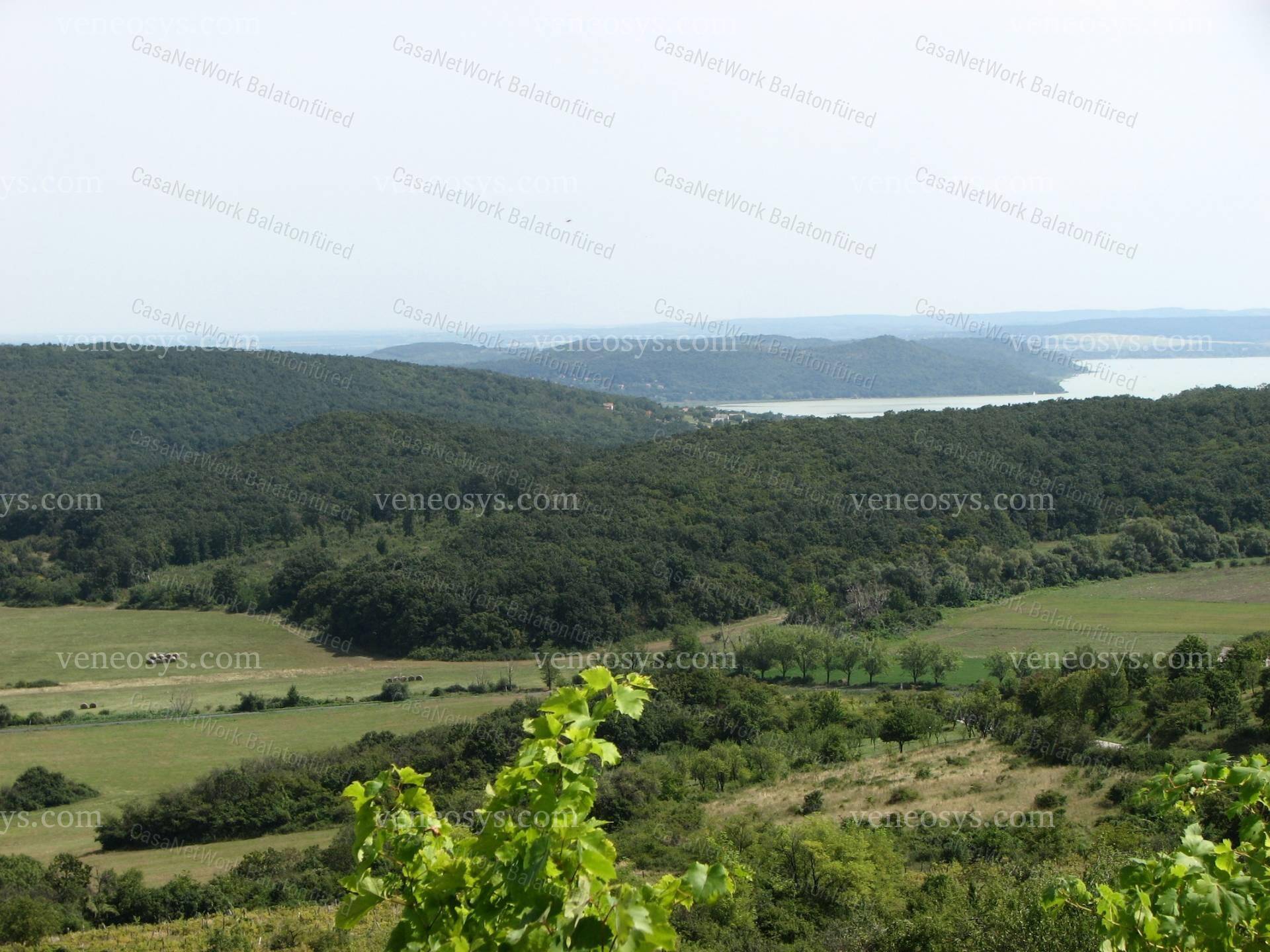 Kép 7