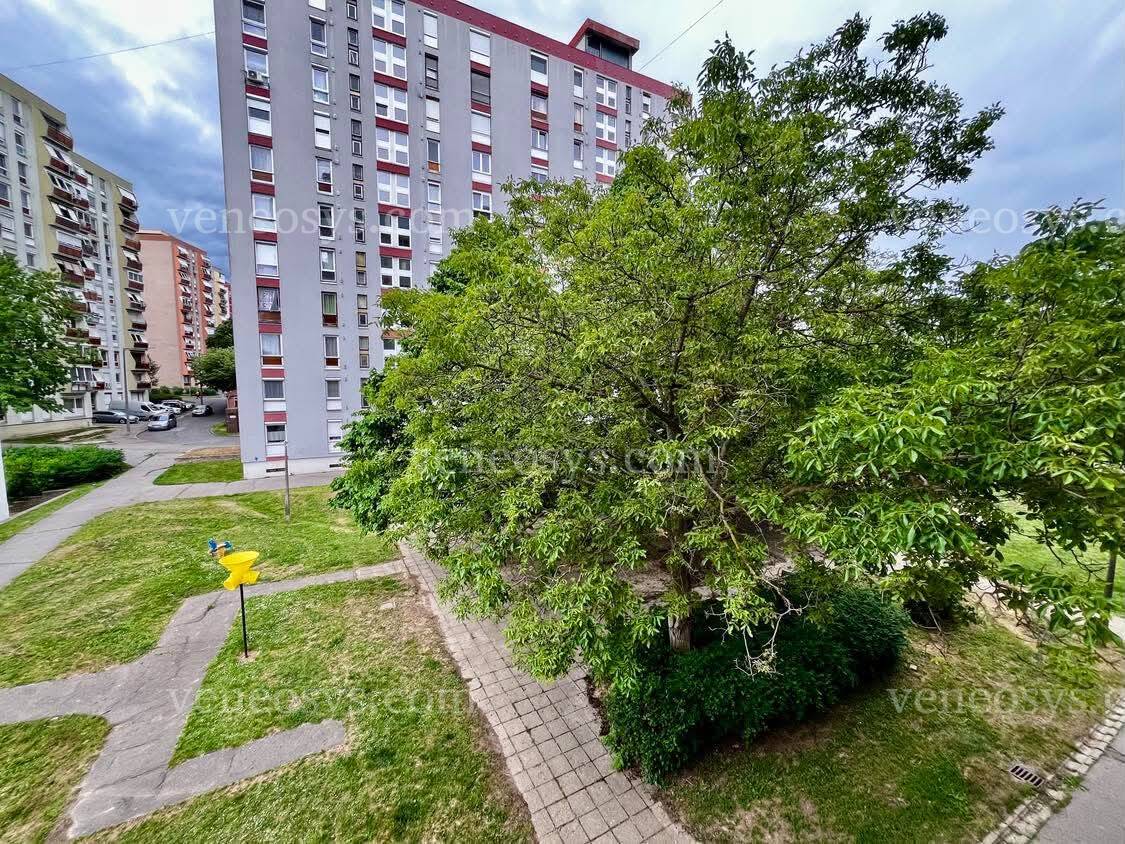 Kép 15