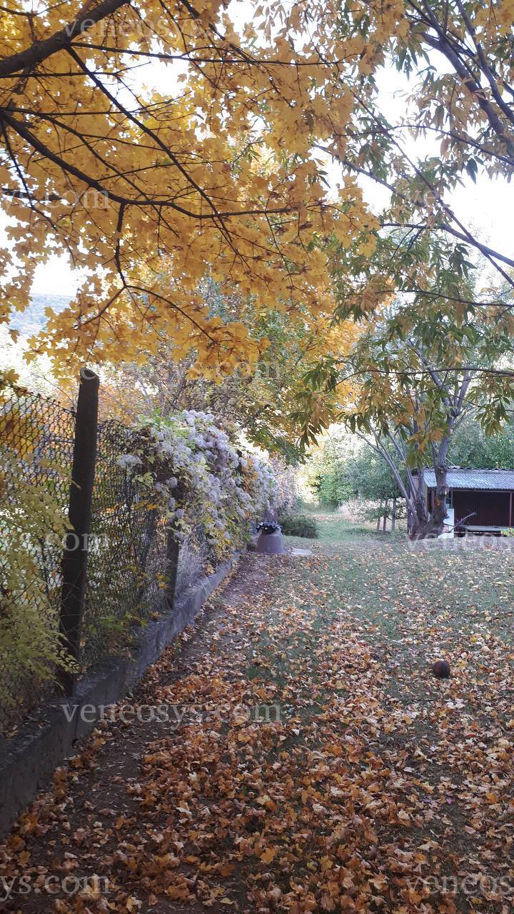 Kép 14