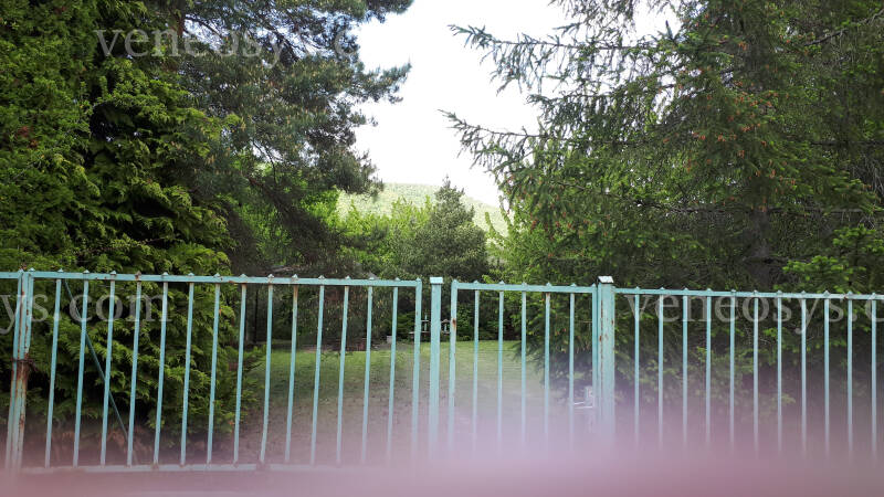 Kép 7