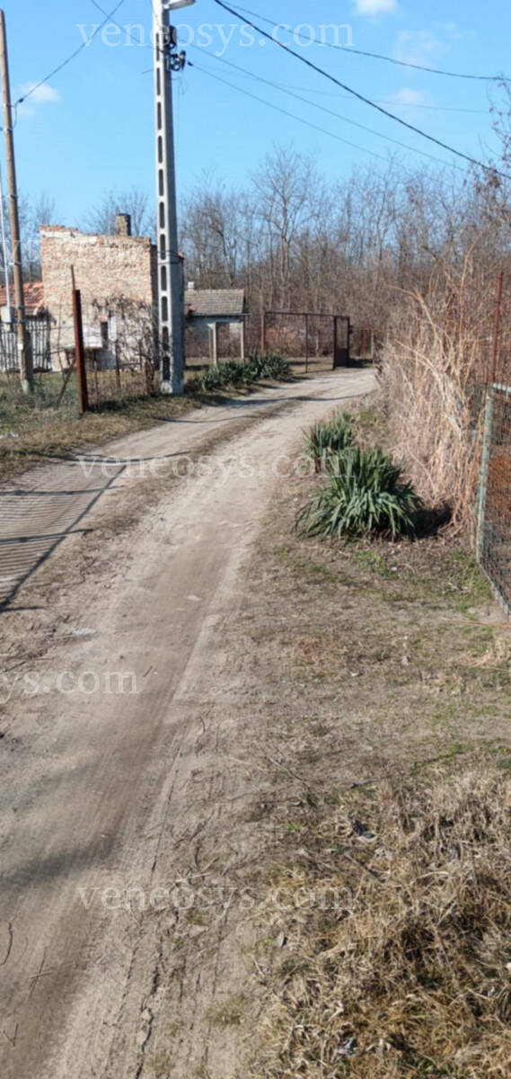 Kép 4