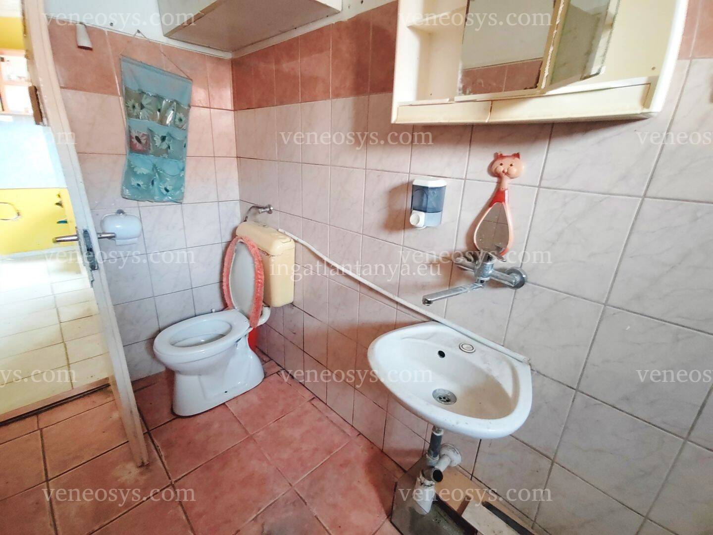 Kép 3