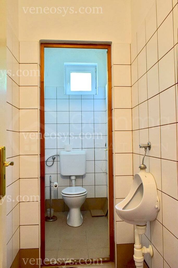 Kép 12