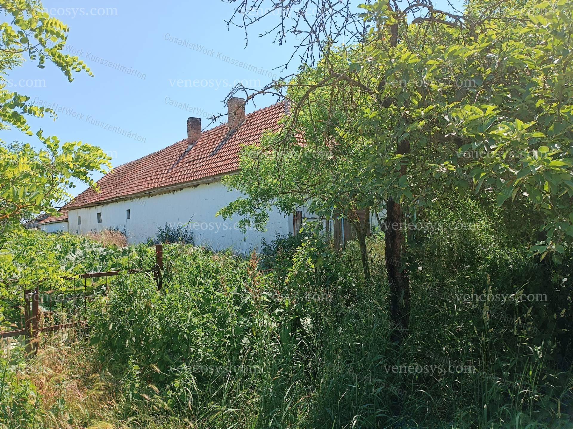 Kép 13