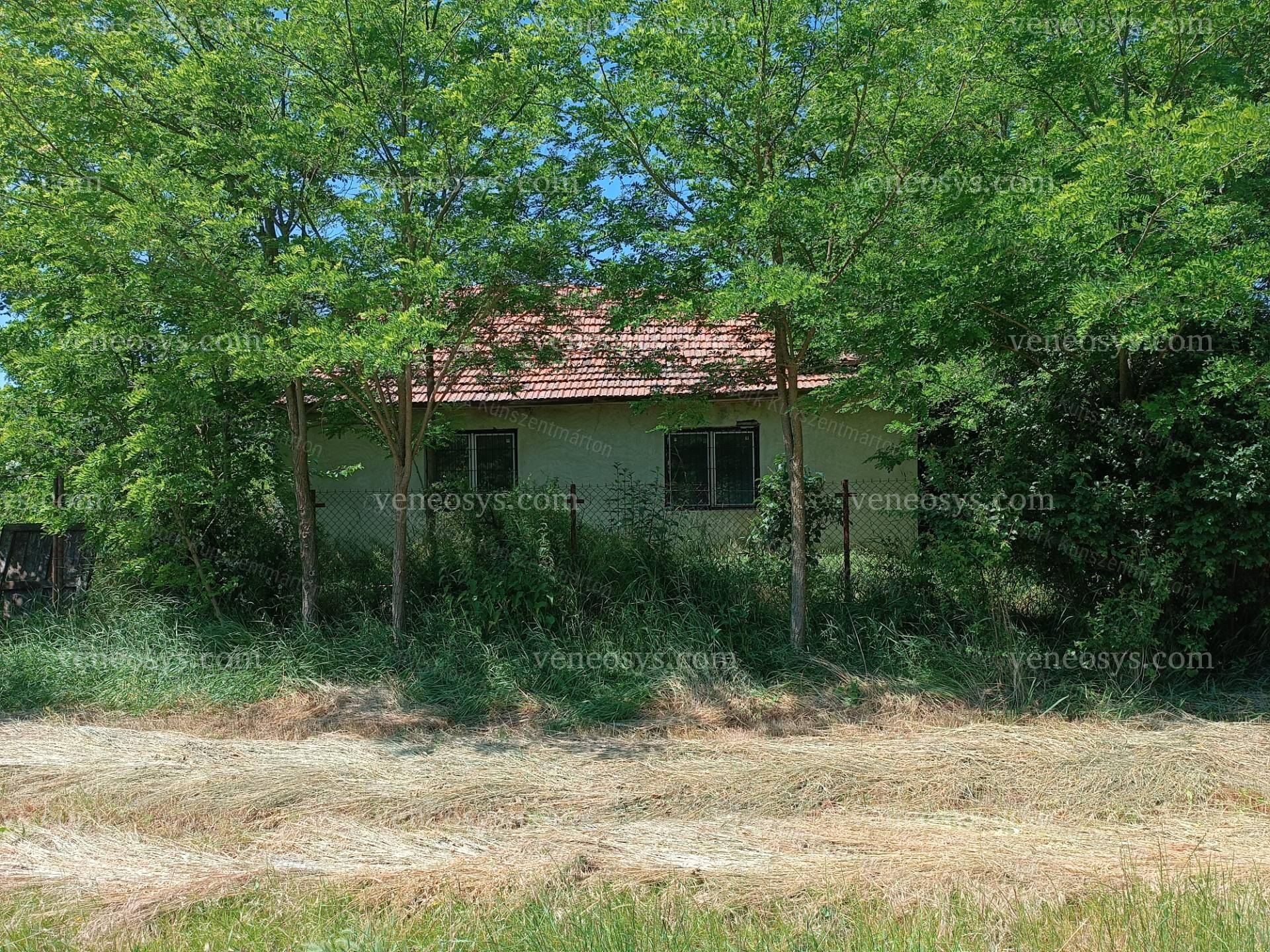 Kép 7