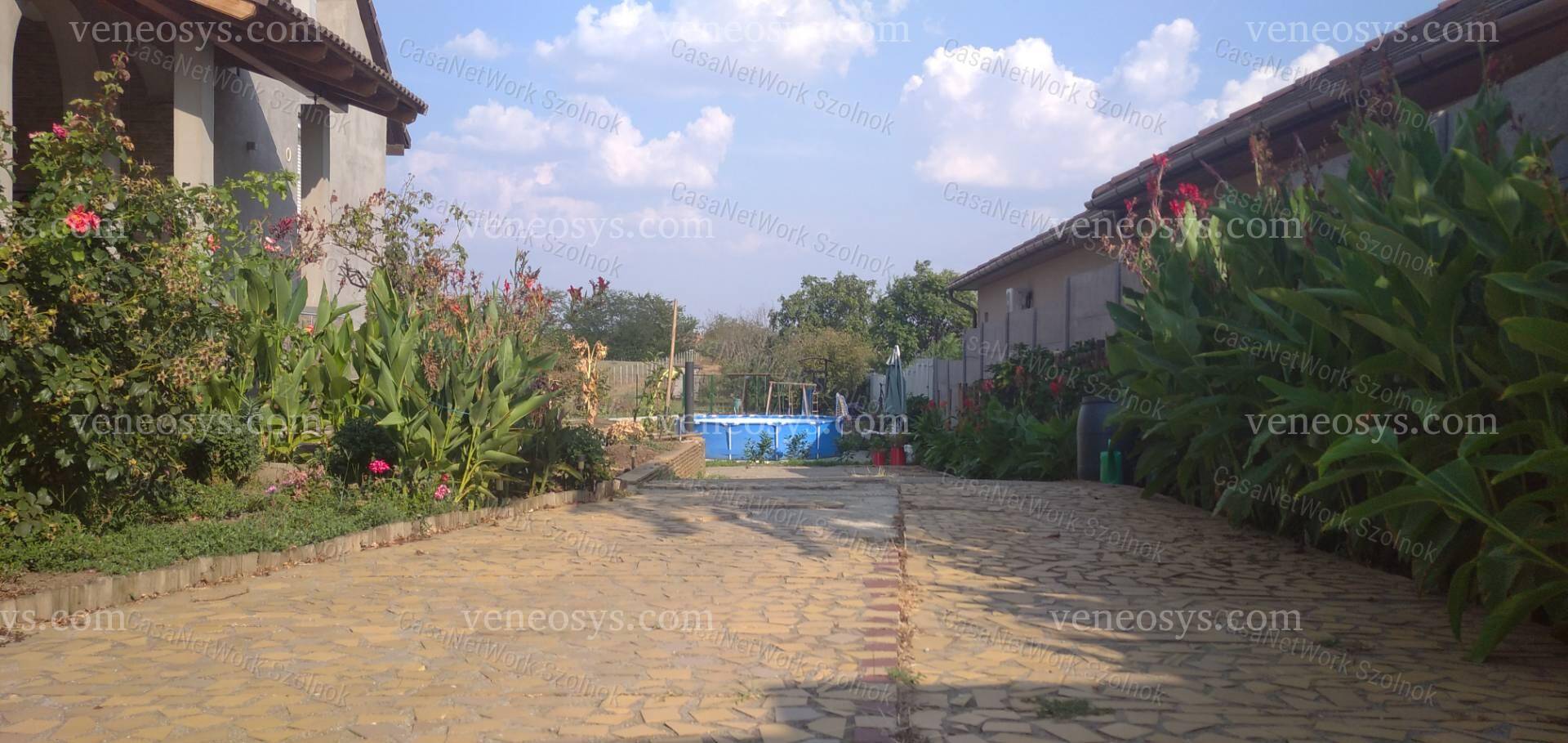 Kép 7