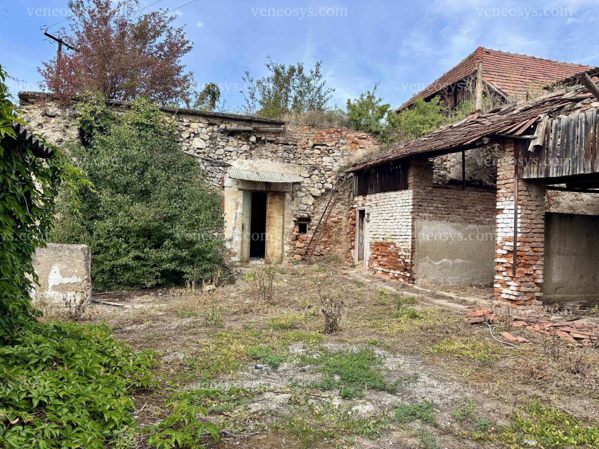 Kép 8