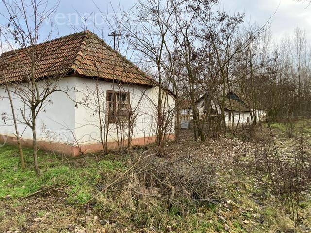 Kép 6