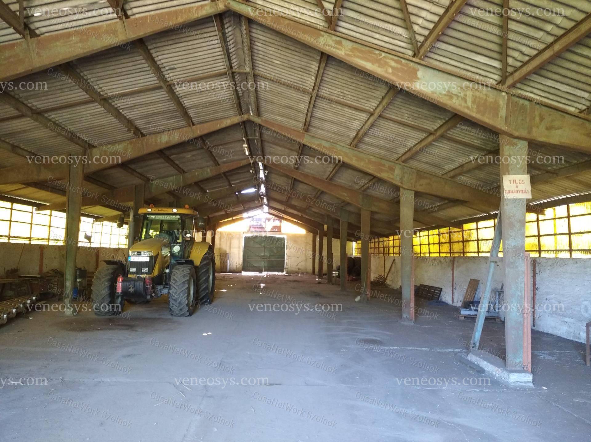 Kép 6