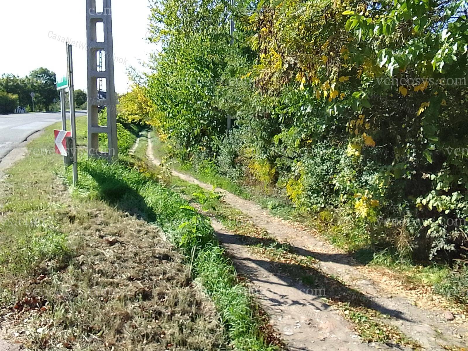 Kép 3