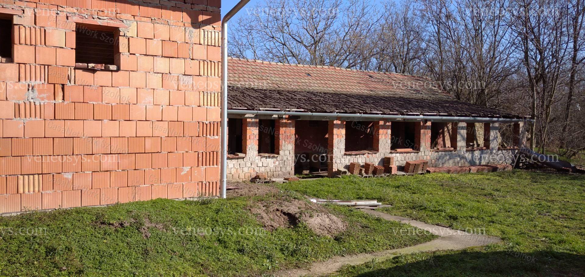 Kép 11