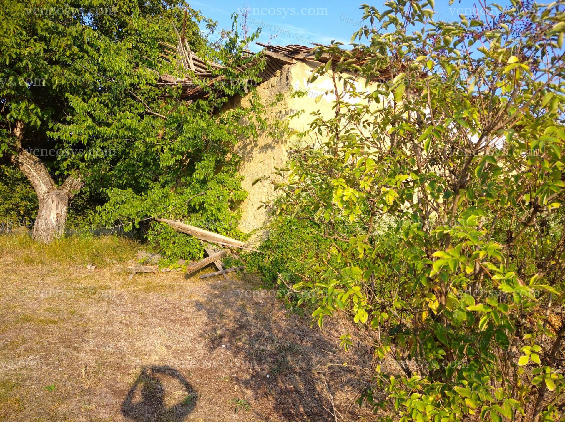 Kép 10