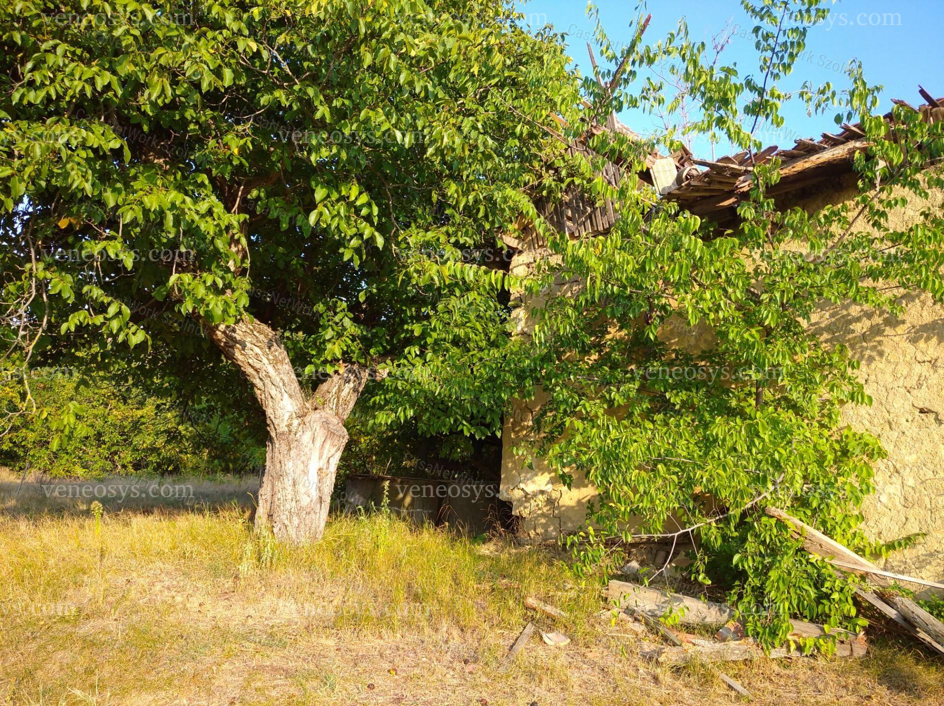 Kép 23
