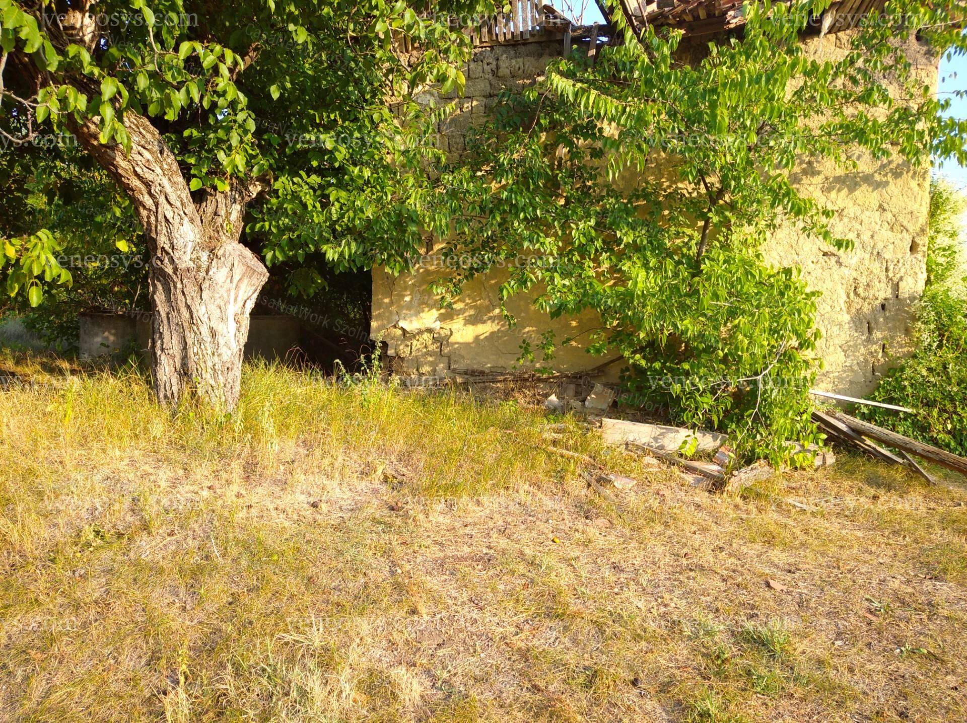 Kép 5
