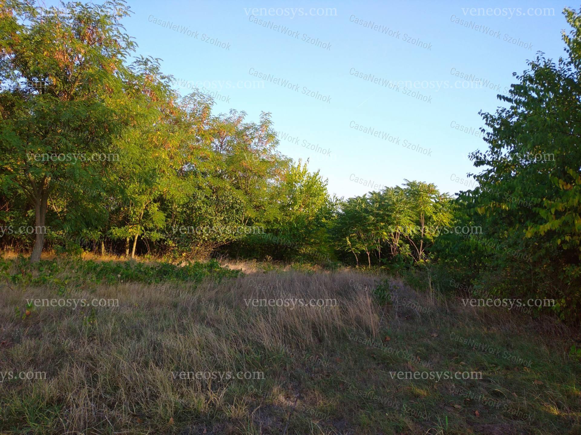 Kép 7