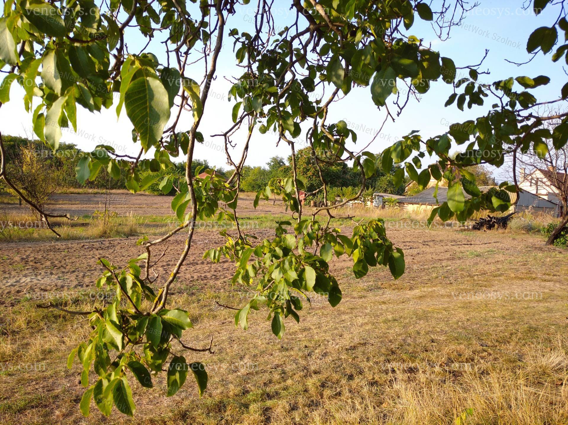 Kép 6