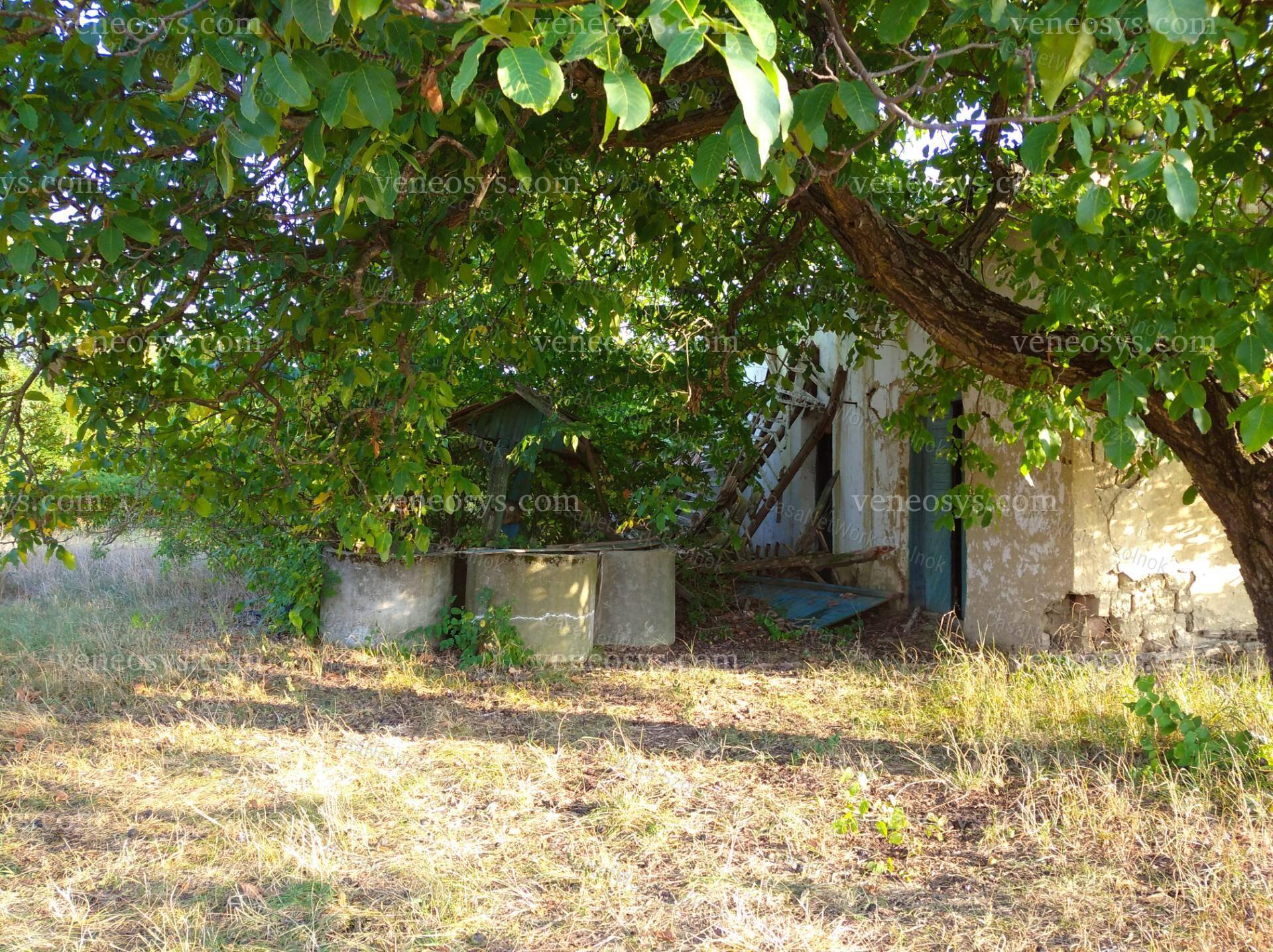 Kép 22